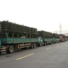 Bailey Bridge (CB-200, Double-lanes) To The Construction Bureau, Guan County, Liaocheng City, Shandong Province